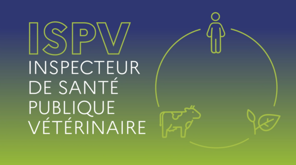 Image comprenant l'inscription 